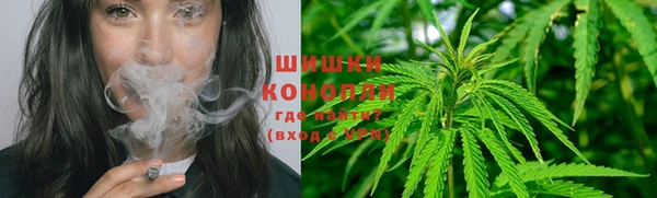 сатива Верхнеуральск