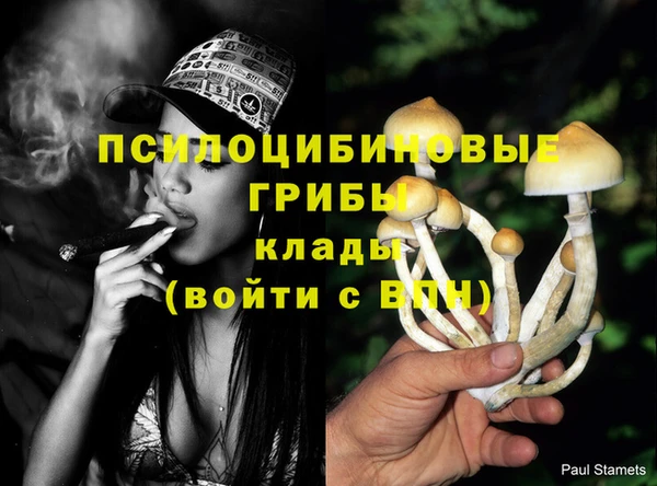 сатива Верхнеуральск
