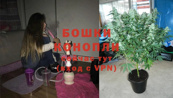 винт Верея