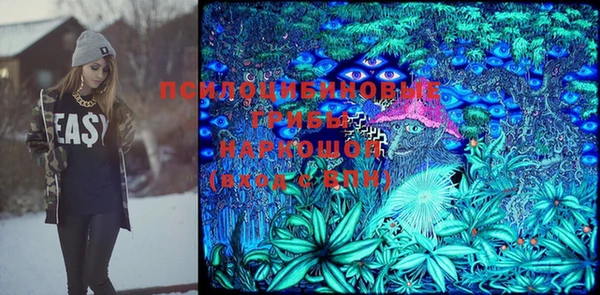 винт Верея
