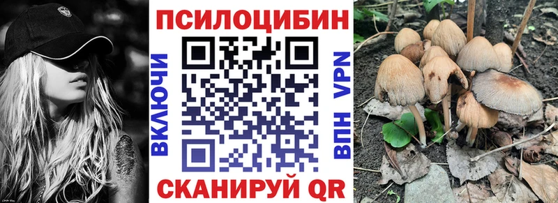 Псилоцибиновые грибы мицелий  Купить  Партизанск 